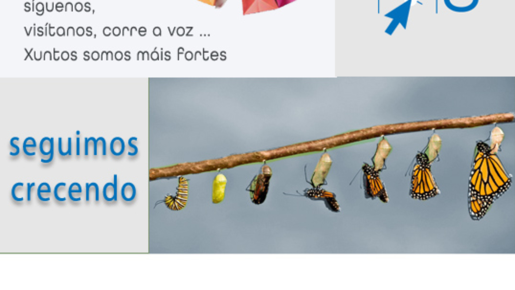 sonoteucomerciopromopromo-copia