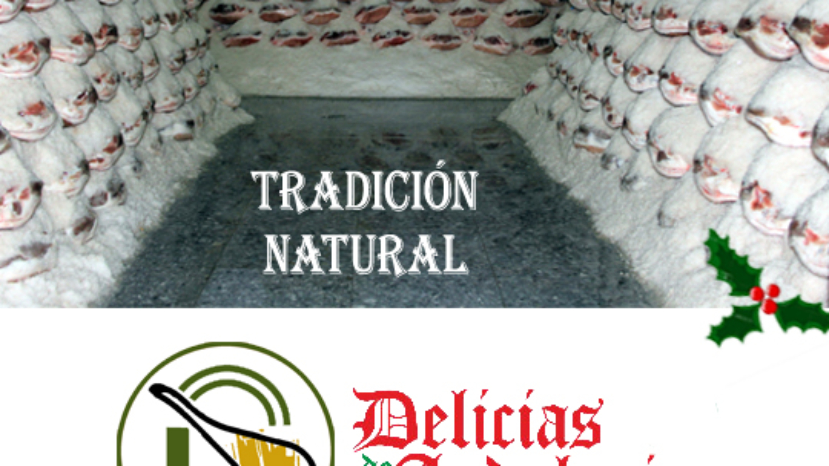 MODELOINSTAGRAMdelicias-copia