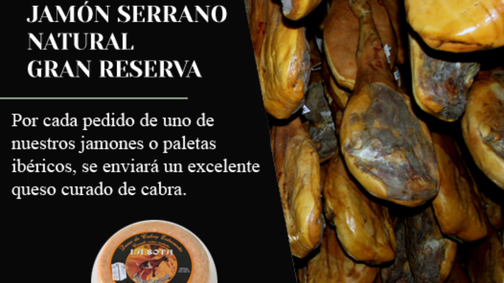 MODELOJAMON